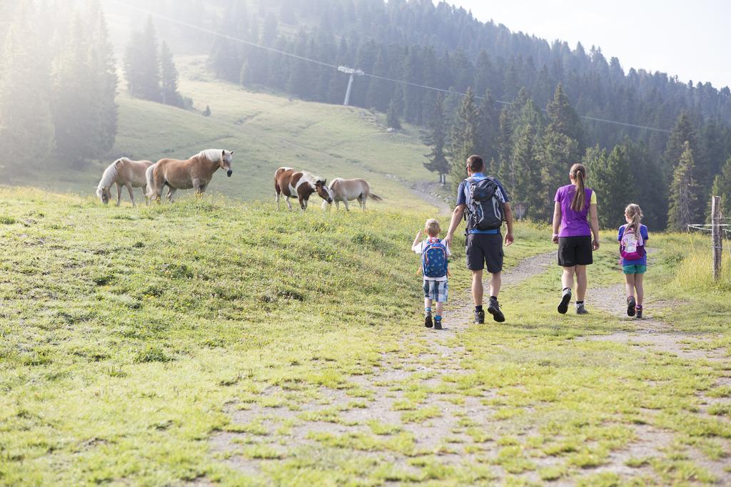 Appartmenthaus Martina Zell am Ziller Dış mekan fotoğraf